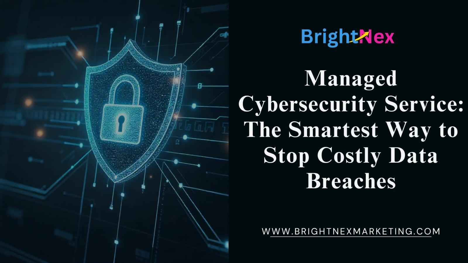 Managed Cybersecurity Service: The Smartest Way to Stop Costly Data Breaches